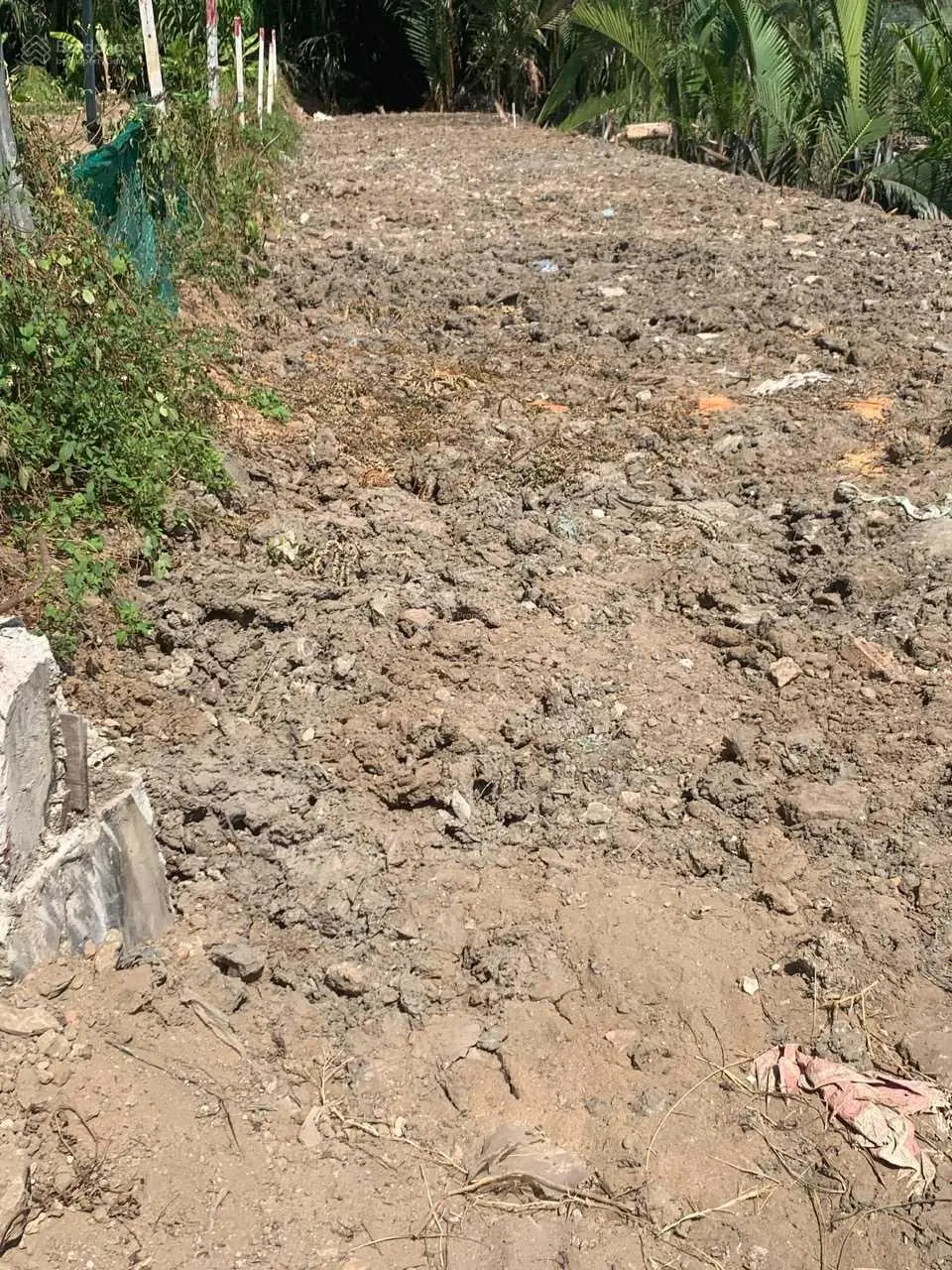 233m2. Mặt tiền Ngô Quang Thắm - Nhơn Đức - Nhà Bè - TPHCM. Lộ giới 40m