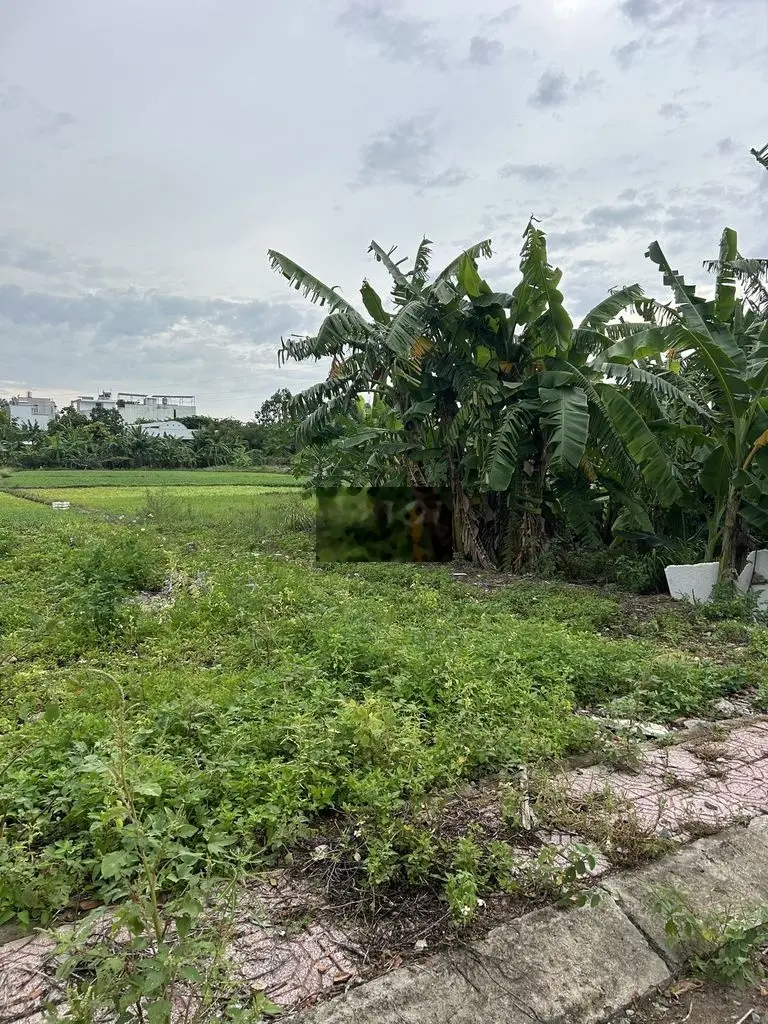Bán đất 50m2 thổ cư HXT Ngô Chí Quốc, dân cư hiện hữu, sổ hồng riêng
