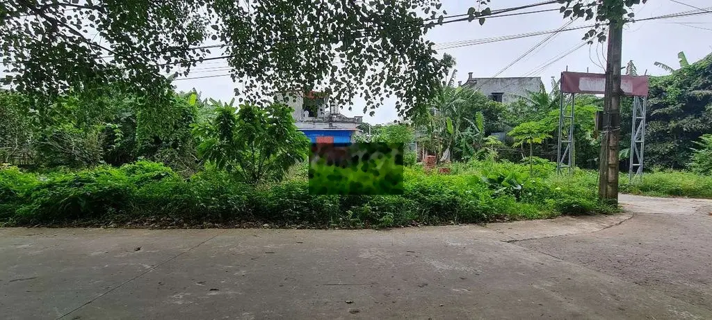 Cần bán đất