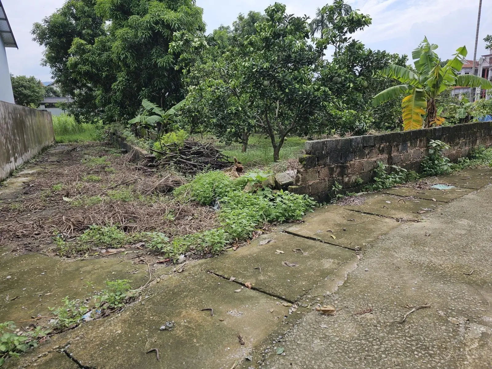 Chu cần bán 517m2 thổ cư 200m2 tại thôn Đông Nam xã Nam Phương Tiến Chương Mỹ. Giá cực sốc
