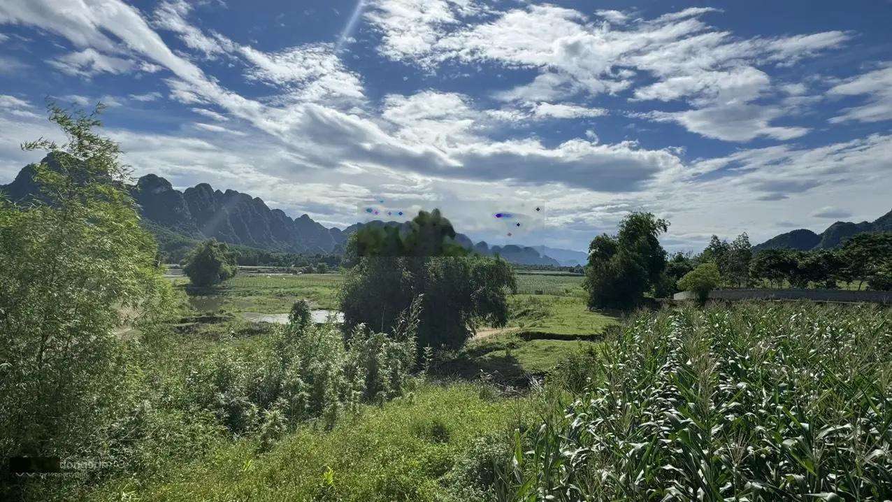 Siêu phẩm 3.750m2 bám Sông Bôi - Kim Bôi - Hòa Bình