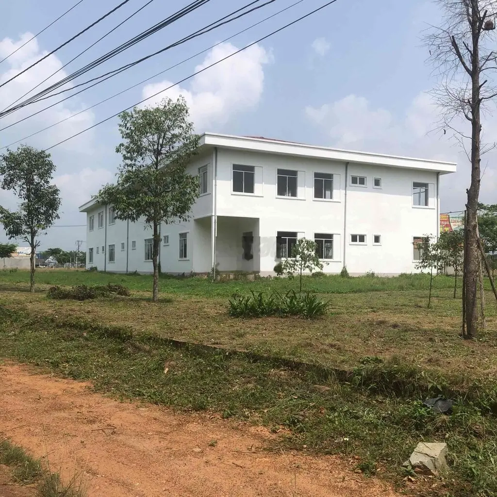 Bán hơn 6ha đất nông nghiệp Đường 619 Bàu Bàng, Bình Dương
