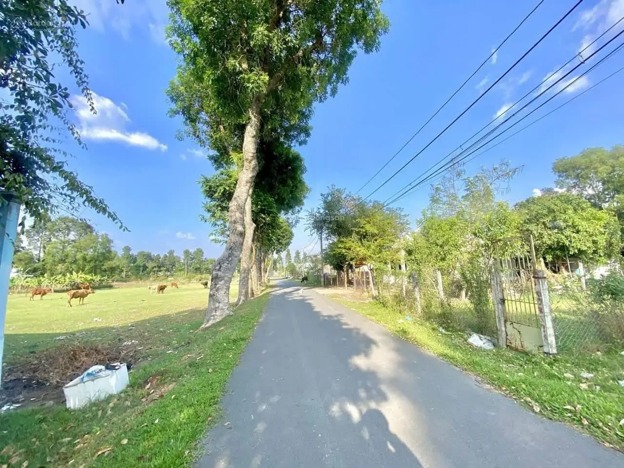 Cần bán gấp lô đất 980 triệu ngay trung tâm TT Củ Chi