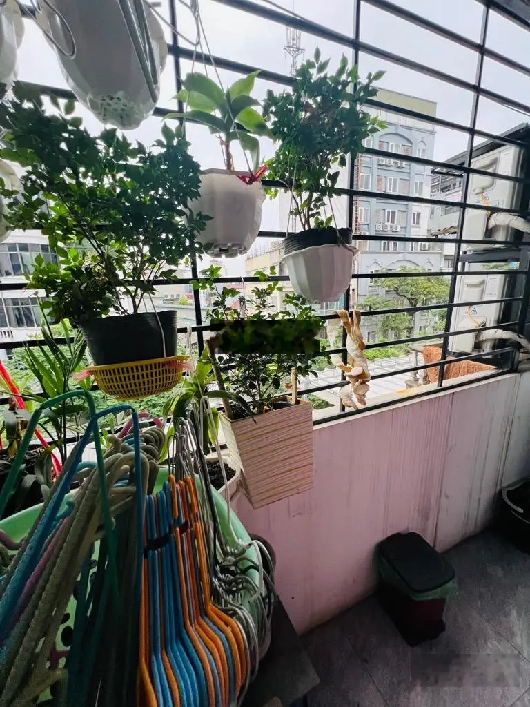 Nhà đẹp ở luôn pháp lý chuẩn sổ riêng