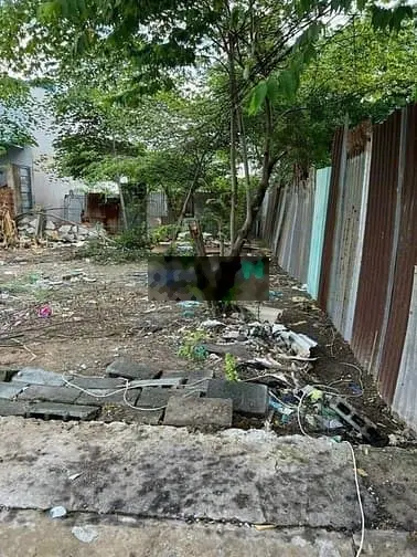 Đất thổ cư ☘️ 5x23m Mặt Tiền Xuân Thới 13 gần chợ chữ S Trần Văn Mười