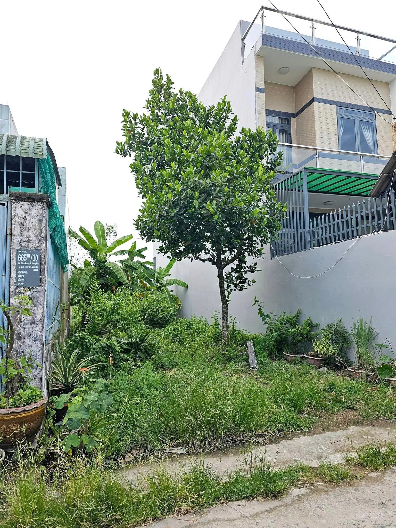 Chính chủ bán 117m2 đất ngộp,MT ở cầu nhà việc, phú nhuận, bến tre.SHR, 654tr gần quảng trường tp.