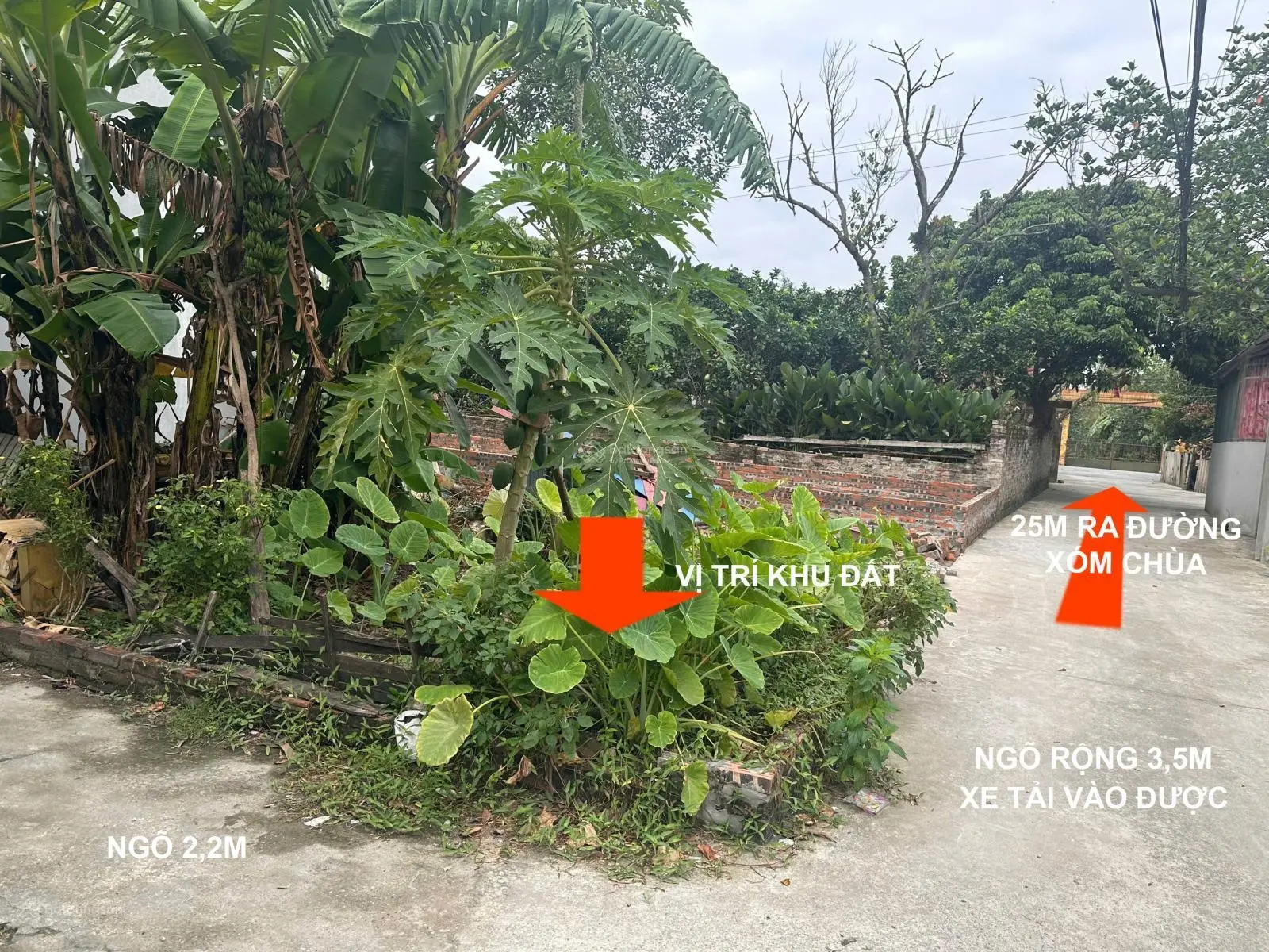 Nhỉnh 2 tỷ CỔ DƯƠNG, TIÊN DƯƠNG, ĐÔNG ANH. Ô tô tải vào tận đất . LH : 0359 580 ***