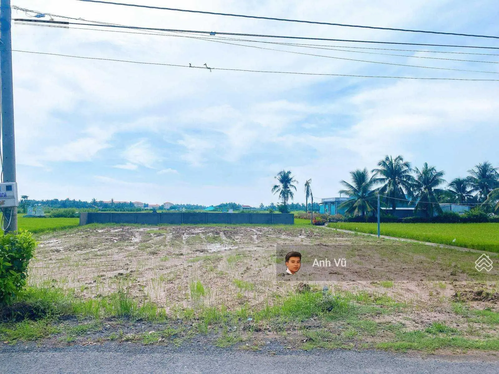 Cần bán đất Đ.Đoàn Nguyễn Tuấn, gần Trường Tiểu học Tân Kim, Cần Giuộc Long An 120m2