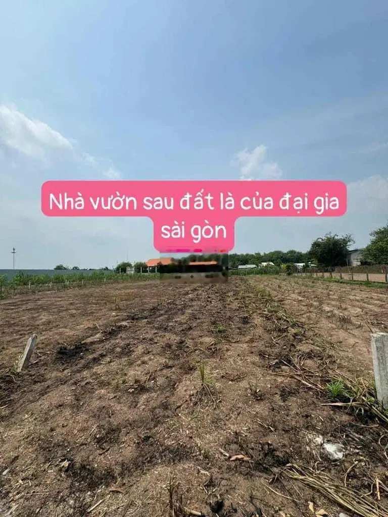 Siêu phẩm Chân Dài, GIÁ RẺ , 475tr (5x65m) TX.Trảng Bàng ,TN