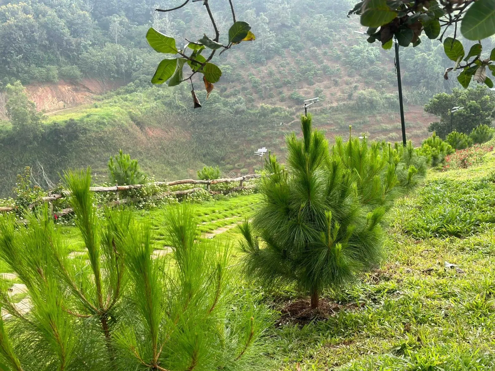 Bán Homestay view hồ Tp Gia Nghĩa - vẻ đẹp đến tự sự mộc mạc