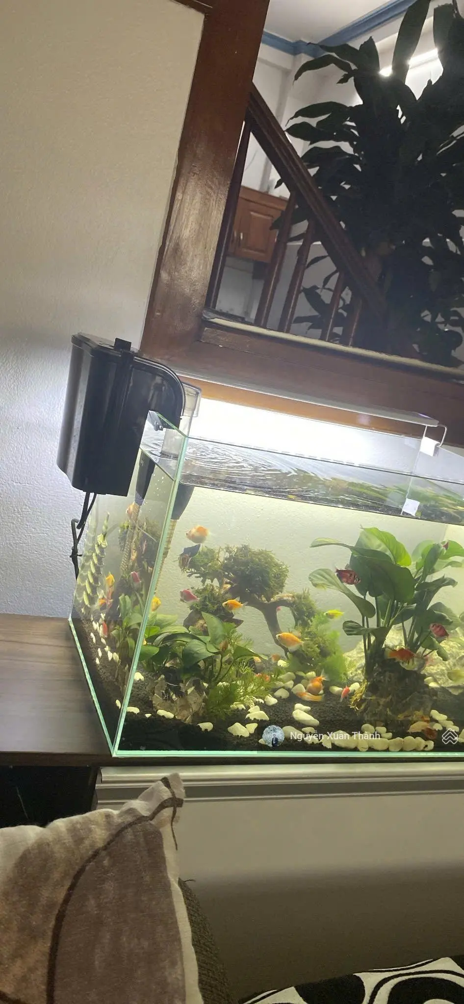 Bán Nhà TĐC Giang Biên, Phạm Khắc Quảng, vỉa hè ô tô tránh 43m x 4T, MT 3.8m, nhỉnh 11tỷ 0979999868