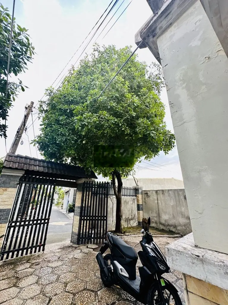 Cần bán nhà mái thái sân vườn gần chợ Quang Thắng, Trảng Dài ,Biên Hoà giá 2,3 tỷ, diện tích 210 m2