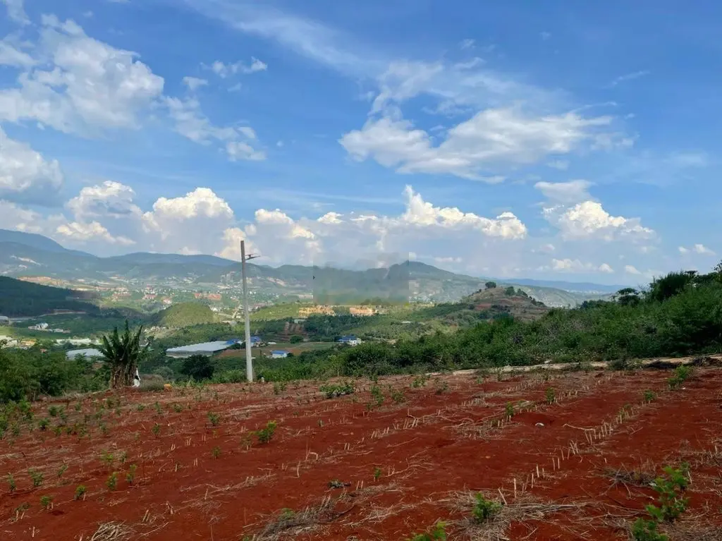 ĐẤT NGHỈ DƯỠNG VIEW ĐỒI THÔNG, VIEW TẦM NHÌN XA 20 - 30KM