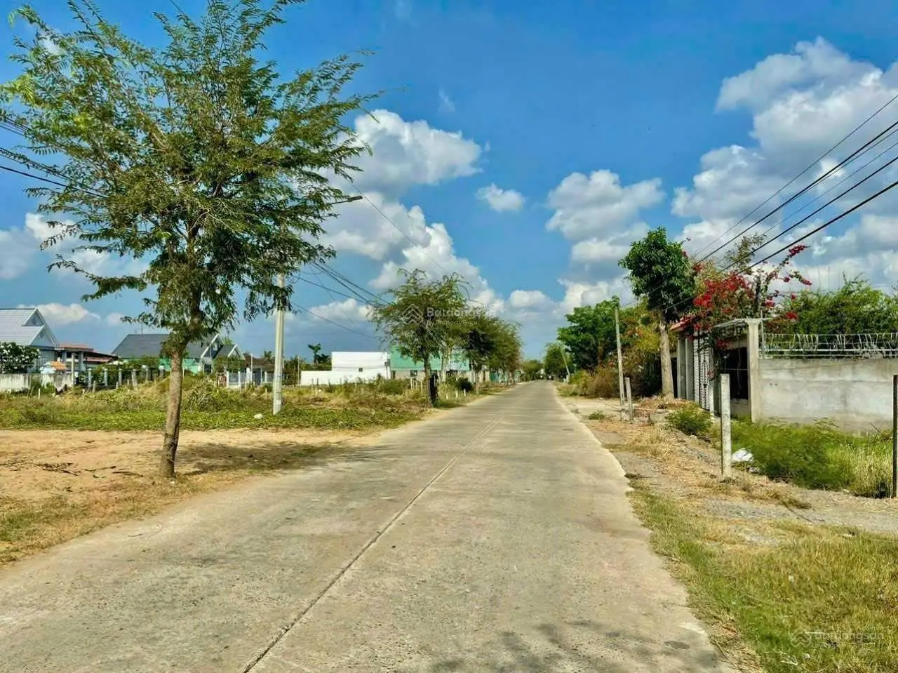 Cần bán 500m2 full thổ cư, mặt tiền đường Nguyễn Thị Bài, xã Long An, SHR, giá rẻ bán nhanh