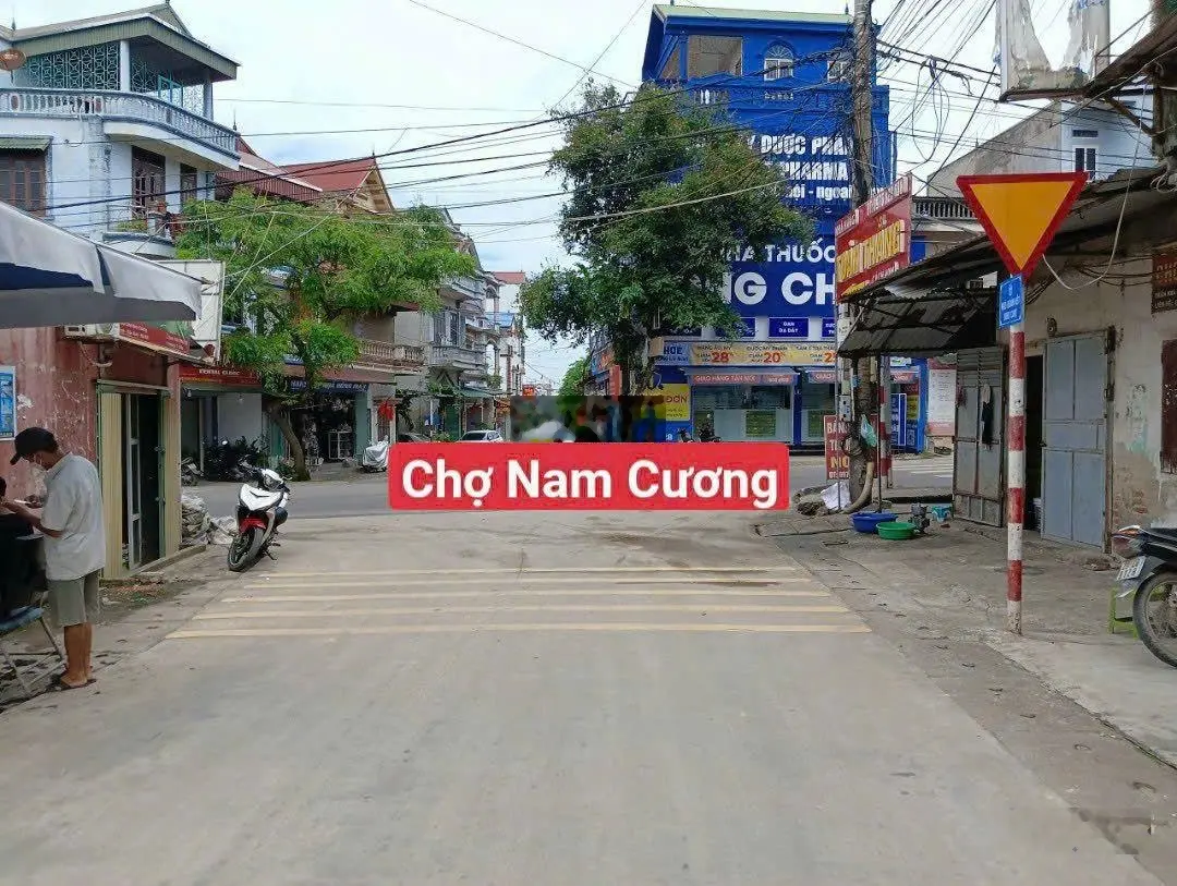 Chính chủ em bán lô đất tại Nam Cương, Hiền Ninh, Sóc Sơn, Hà Nội dt: 90m2 full thổ