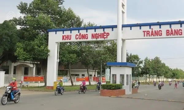 Bán gấp lô đất Trảng Bàng mặt tiền nhựa lớn diện tích khủng giá cực ngộp