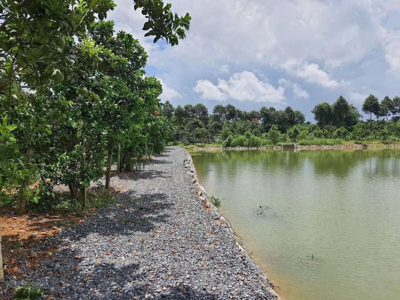 Chuyển nhượng 20.118m2 (hơn 2ha) đất thổ cư giá rẻ phù hợp xây nghỉ dưỡng homestay tại Lương Sơn