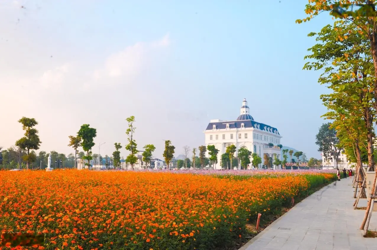 Mua đất ngay, sổ đỏ trao tay - quyền sở hữu vĩnh viễn