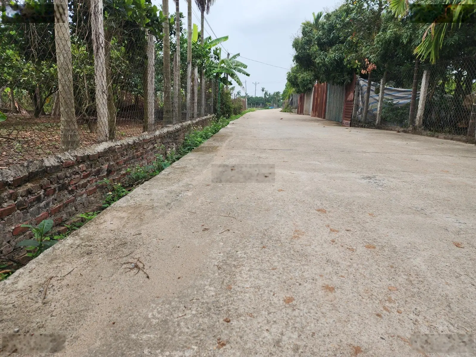 Bán trang trại view đẹp tại Phúc Hòa, Phúc Thọ, Hà Nội, 4,5 tỷ, 3600 m2