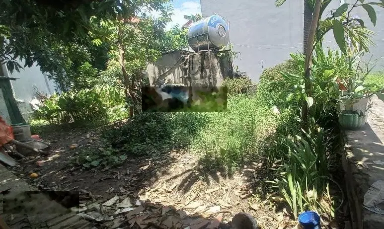 Bán đất Tây Tựu, 48m2, ngõ thông, ô tô tránh dừng đỗ 15m, KV phát triển từng ngày, 3,5 tỷ