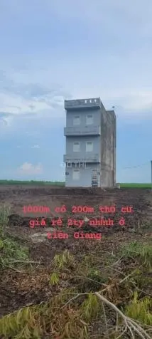 Bán gấp 2 nhà yến ở tiền Giang hoặc đổi tài sản khác