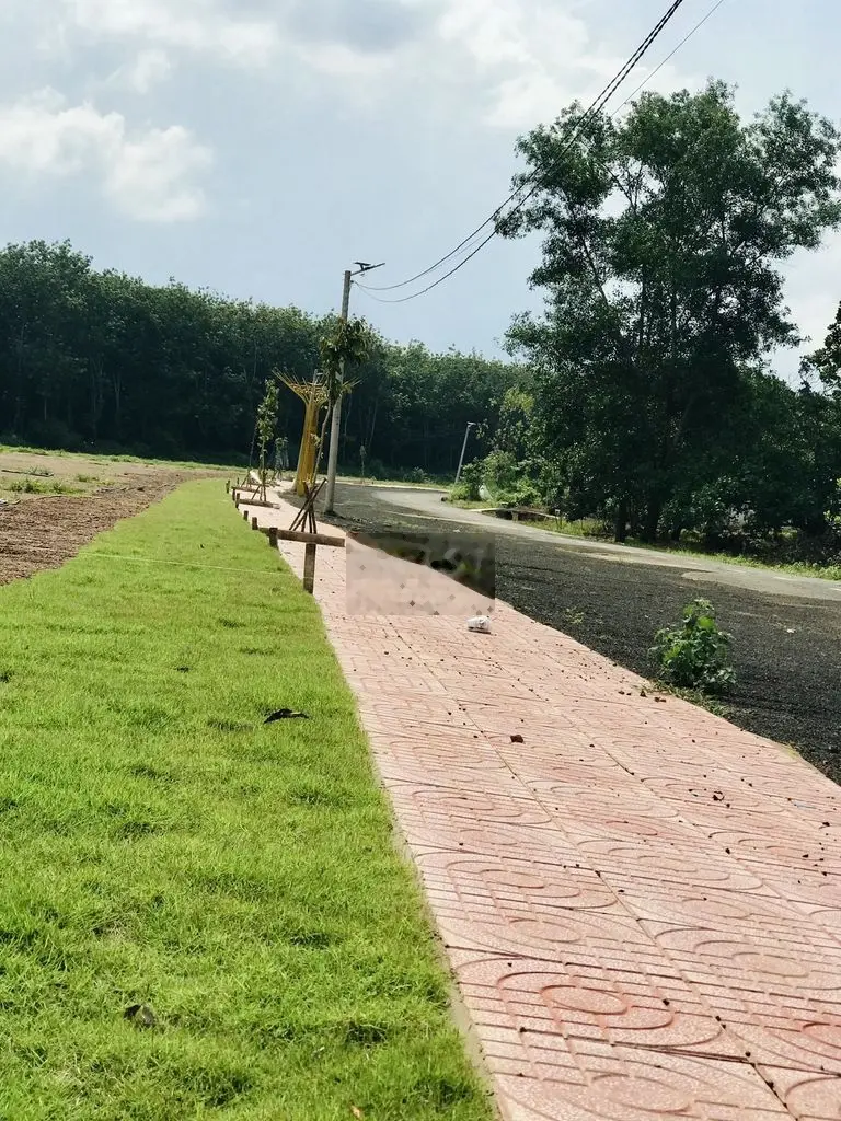 Đất nhà vườn 300m2 Đồng Phú Bình Phước