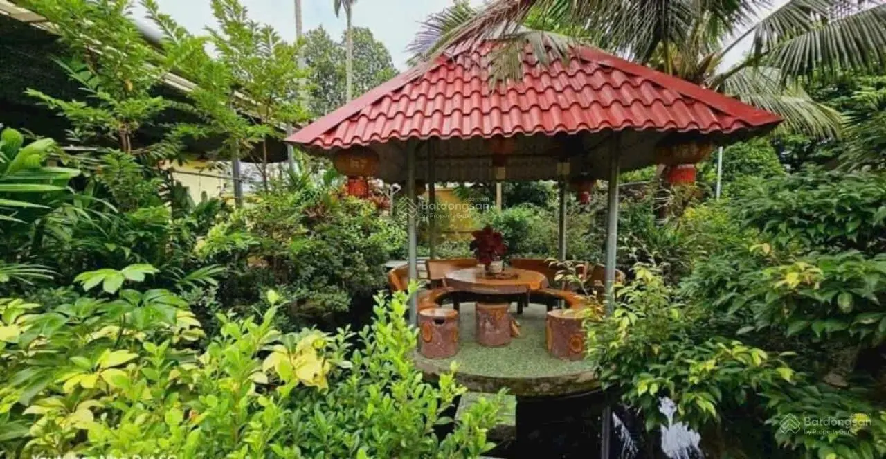 Bán biệt thự 1200m2, (600m2 thổ cư) 19,5 tỷ, An Hạ, Lê Minh Xuân, Bình Chánh, HCM