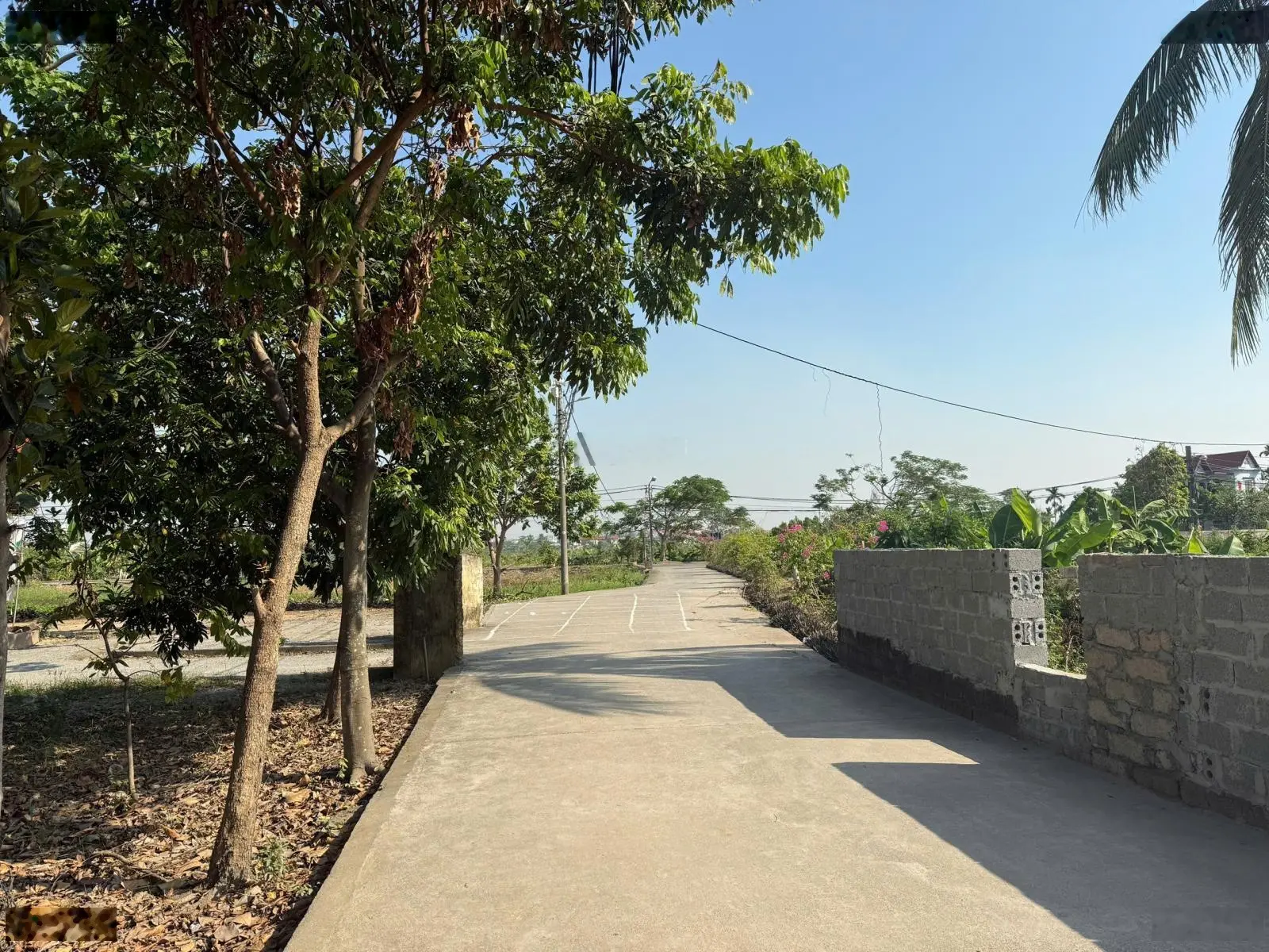 Bán đất đầu tư F0 tại Quỳnh Cư, Hùng Vương, Hồng Bàng, Hải Phòng giá chỉ hơn 800 triệu