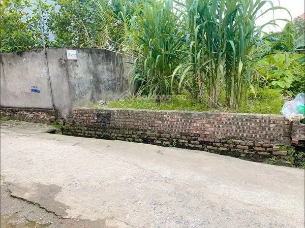 Chính chủ gửi bán 76m2 đất bìa làng thôn Đồng, Nguyên Khê, Đông Anh, Hà Nội