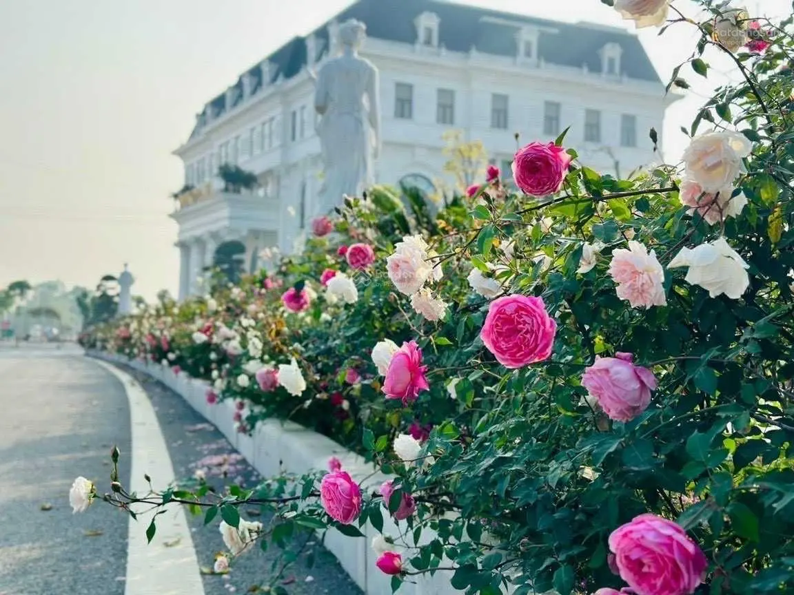 Chuyên bán - chuyển nhượng nhà đất Danko City - sản phẩm đa dạng - thông tin chi tiết
