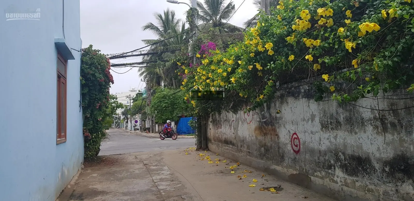 Bán đất Chế Lan Viên nối dài - Mỹ An, Ngũ Hành Sơn, Đà Nẵng