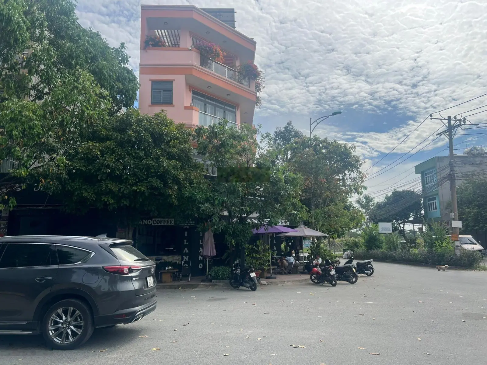Đất sau lưng chợ đầu mối Thủ Đức, mặt tiền view sông nhựa lớn 16m full thổ cư sổ hồng riêng 3,95 tỷ