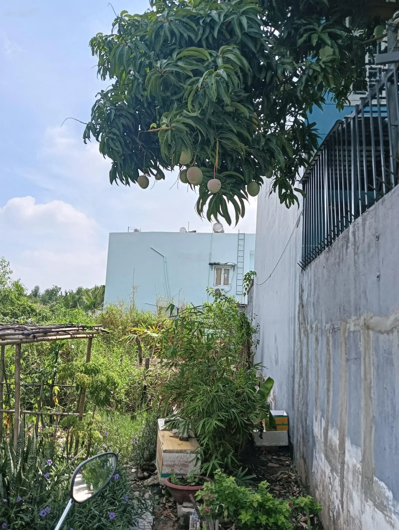 Bán Nhà riêng 1 trệt 1 lầu, tại hẻm 1902 Lê Văn Lương, 171m2, PT. PK 4PN, 4WC, mặt tiền rộng 7m