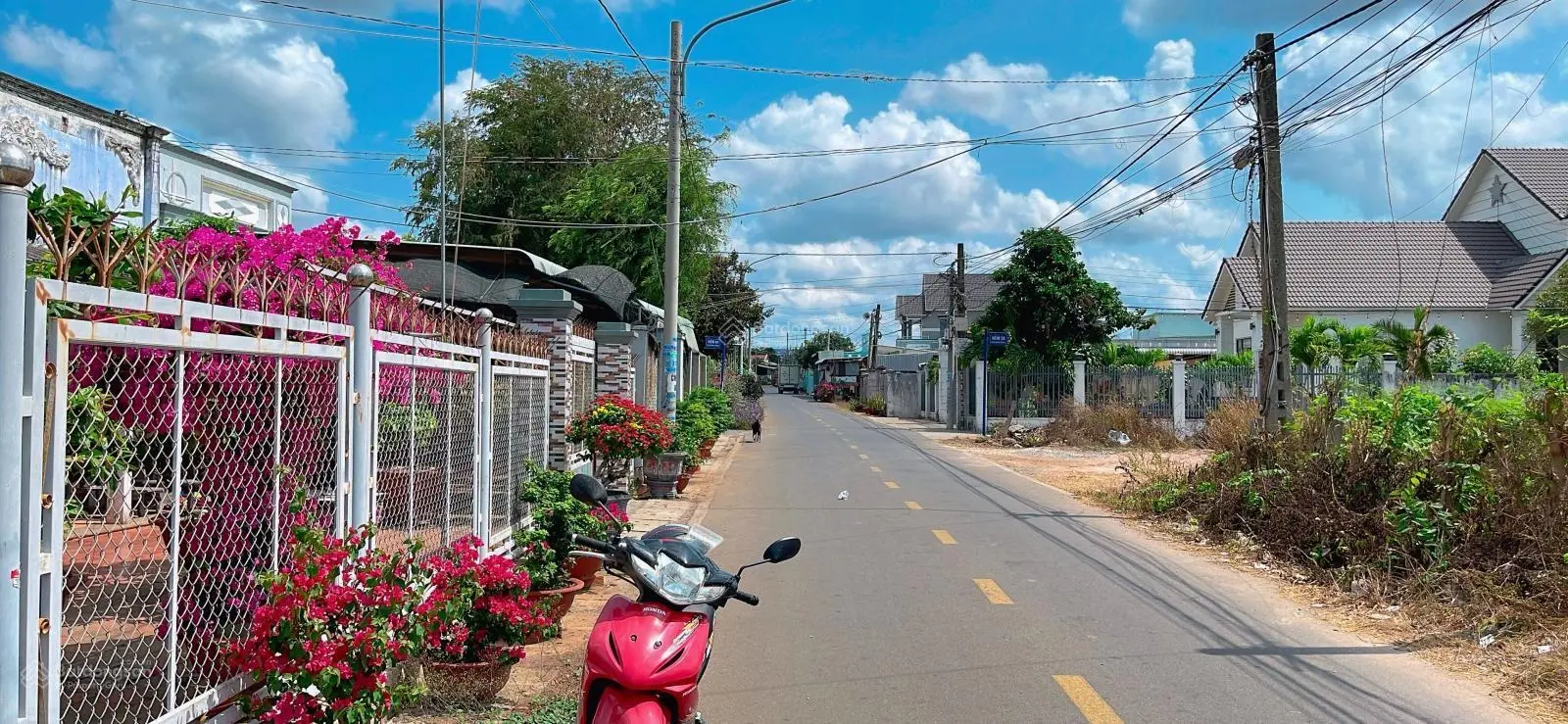 Bán đất thị trấn Đất Đỏ Bà Rịa Vũng Tàu DT 162m2 mặt tiền đường nhựa rộng 10m
