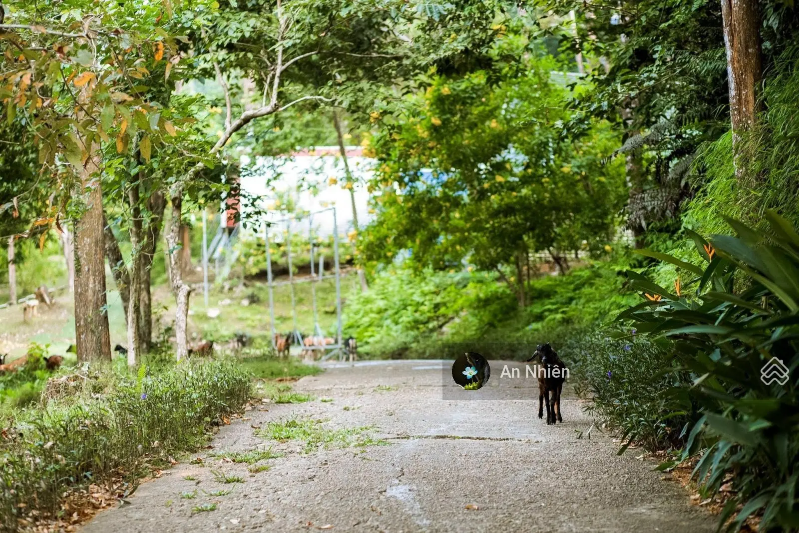 Siêu Phẩm Đất Vườn 3200m View hồ Trị An - Cơ hội hiếm có, sở hữu đầu tư an tâm sinh lợi.