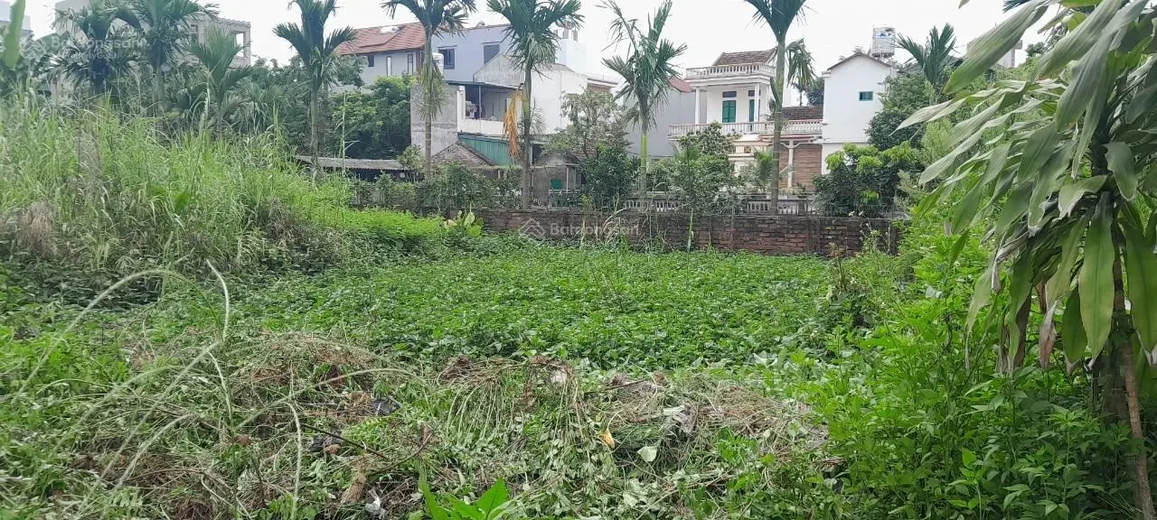 Bán đất tại thôn Xuân Trạch, Xuân Canh, Đông Anh. Diện tích 60,5m2, giá 3,93 tỷ