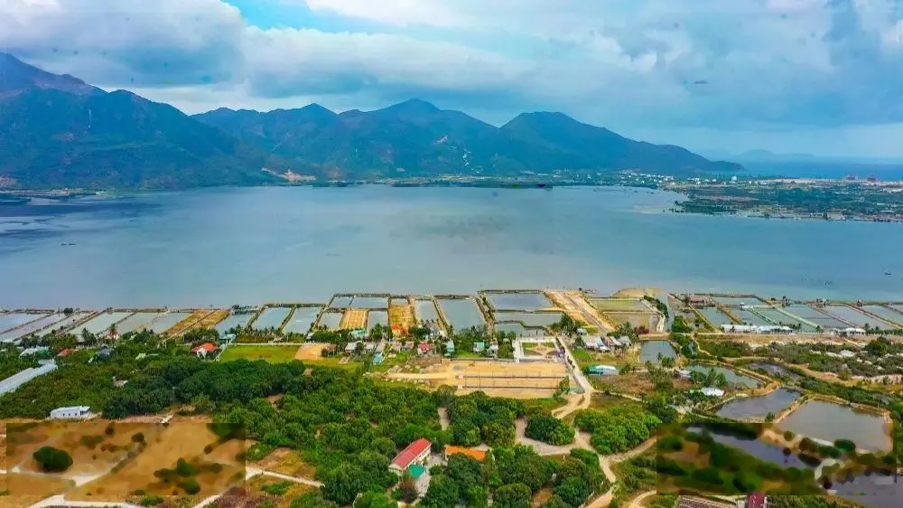 Bán đất có sẵn nhà cấp 4 khu K8 đầm Thuỷ Triều, gần sát dự án Ecopark Cam Hải Đông