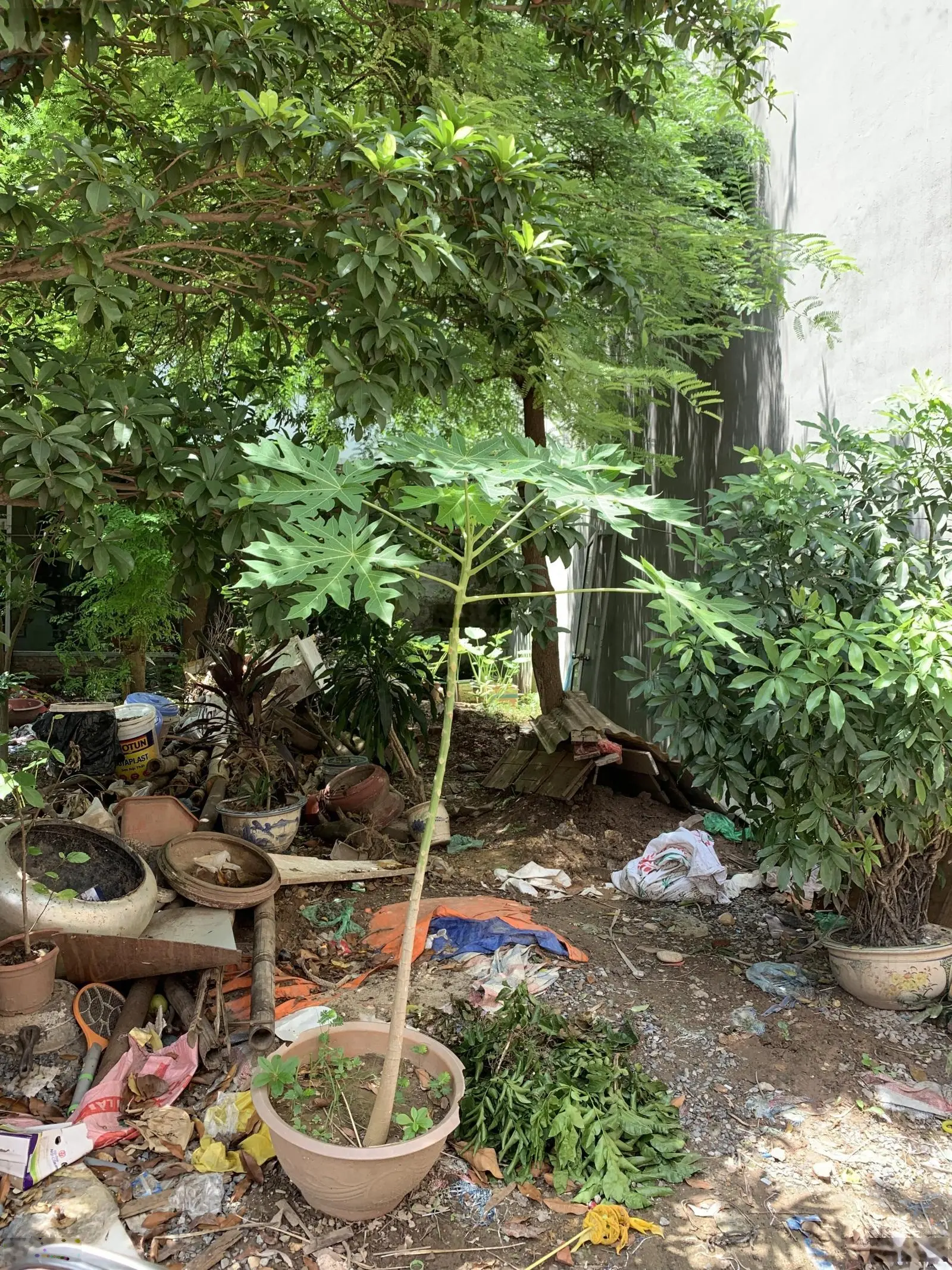 Bán đất ngõ 209 Phú Thượng, Tây Hồ, 60m2, ngõ 2.5m, 30m ô tô dừng đỗ, giá chỉ 6.35 tỷ