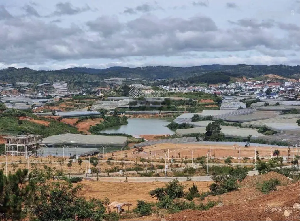 Đất Lang Biang sổ sẵn 1000m2 có thổ cư, đường xe hơi