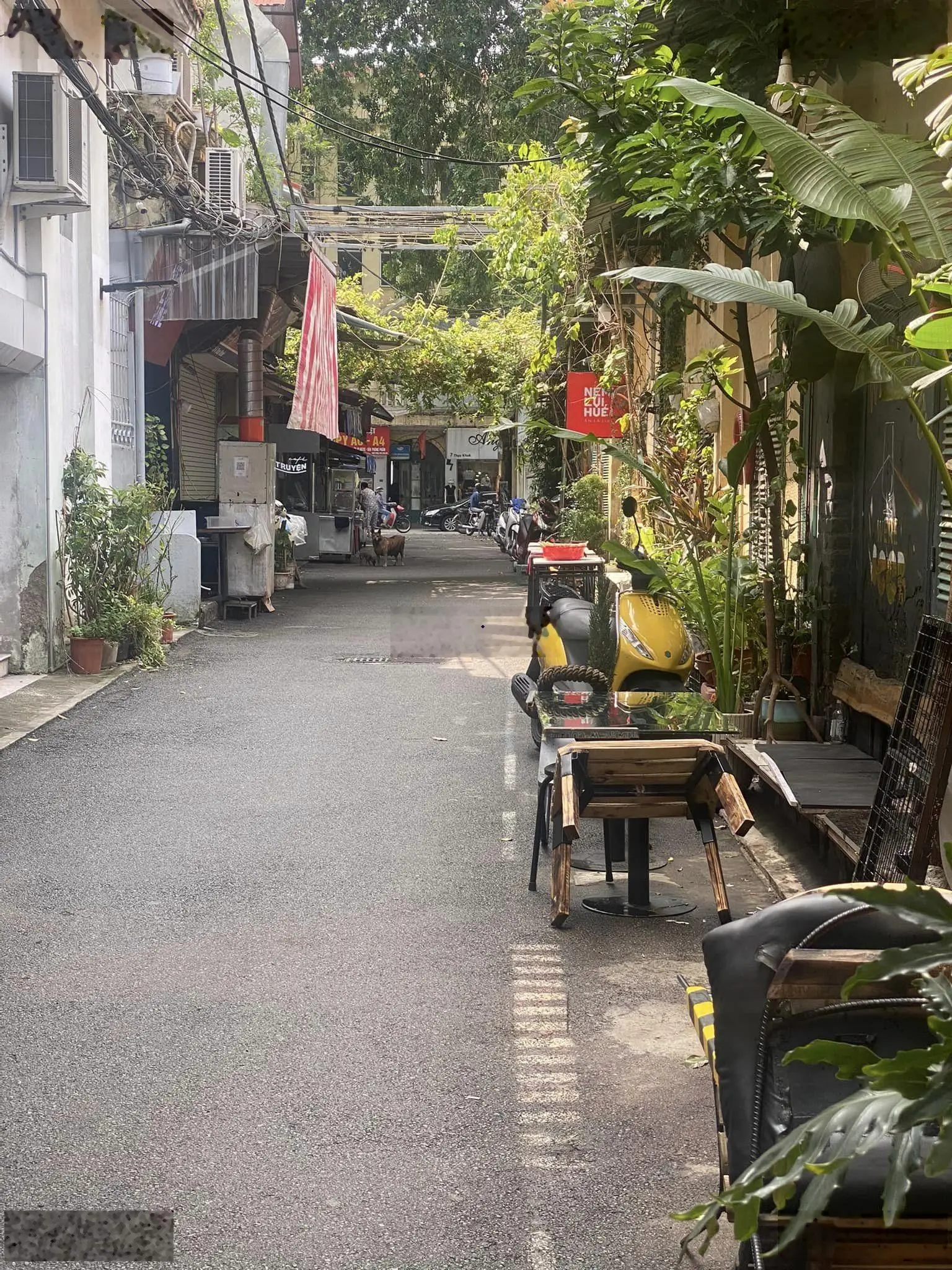 Cây vàng duy nhất Thuỵ Khuê - gần Tây Hồ - ô tô vào nhà