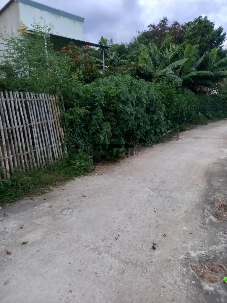 Đất thổ cư 300m2 Thị Xã An Nhơn, khu dân cư đông đúc