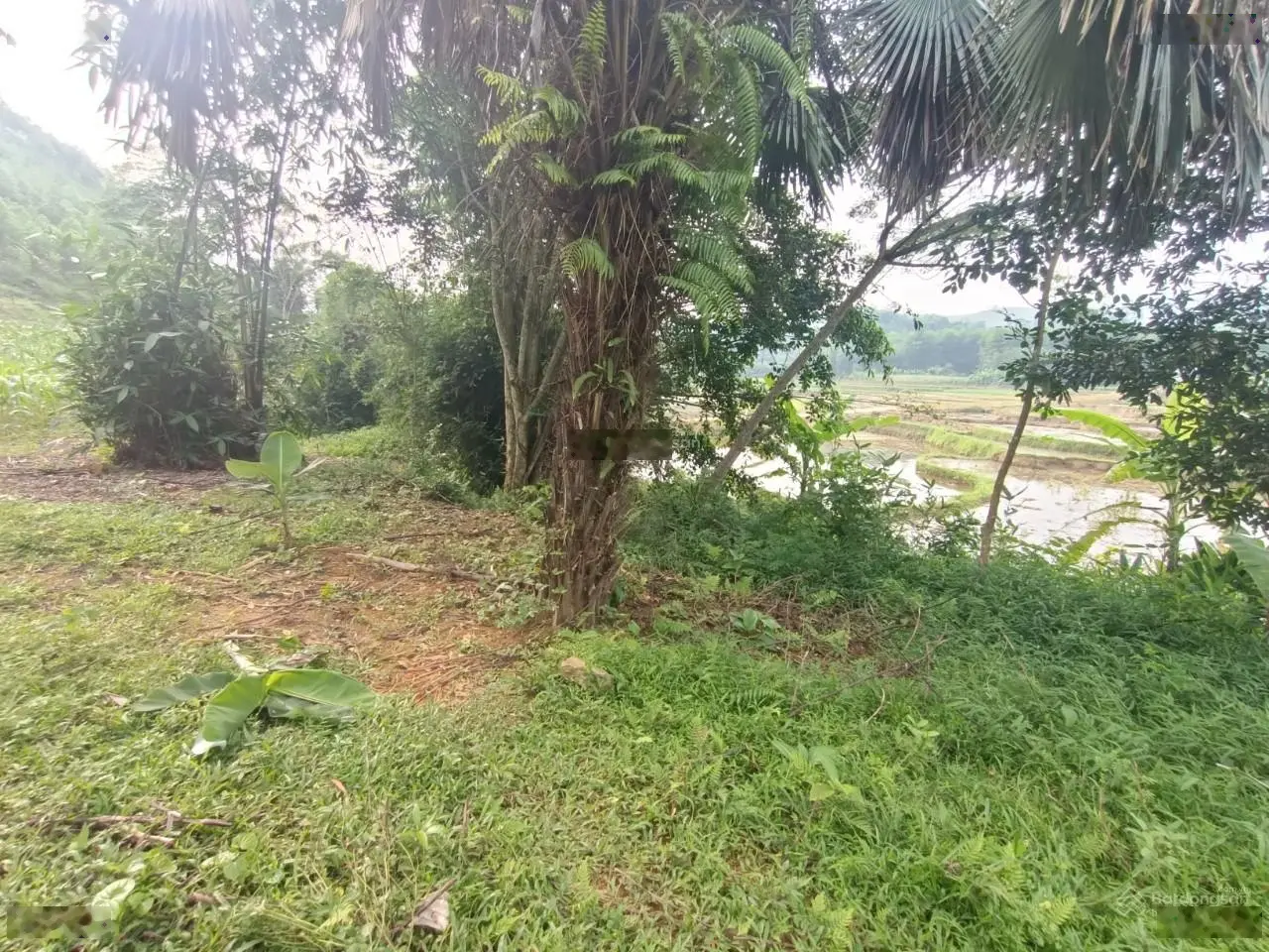 Bán đất tại Kim Sơn, Kim Bôi, Hòa Bình. Diện tích 7000m2, giá thương lượng