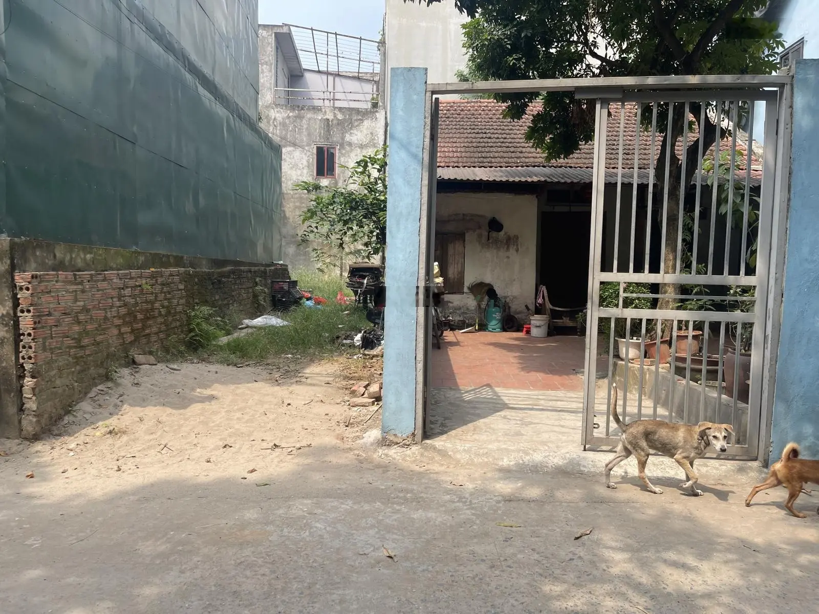 chính chủ cần bấn gấp lô góc 52,6m quyết tiến vân côn hoài đức hà nội