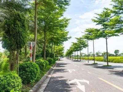Cần bán lô góc shophouse dự án Nam Hồng Từ sơn Bắc Ninh