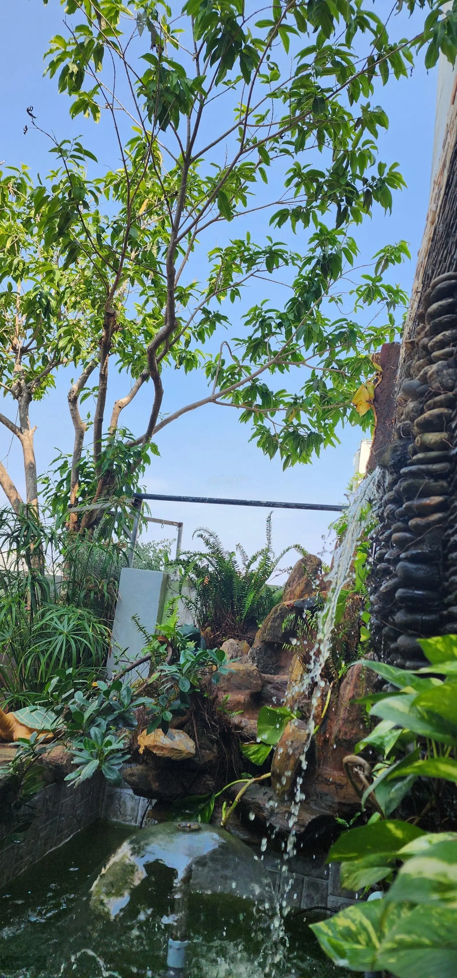 Bán căn Penthouse Phú Mỹ Hưng 14 tỷ, ban công đôi như hình 325m2, giá chính xác k ảo