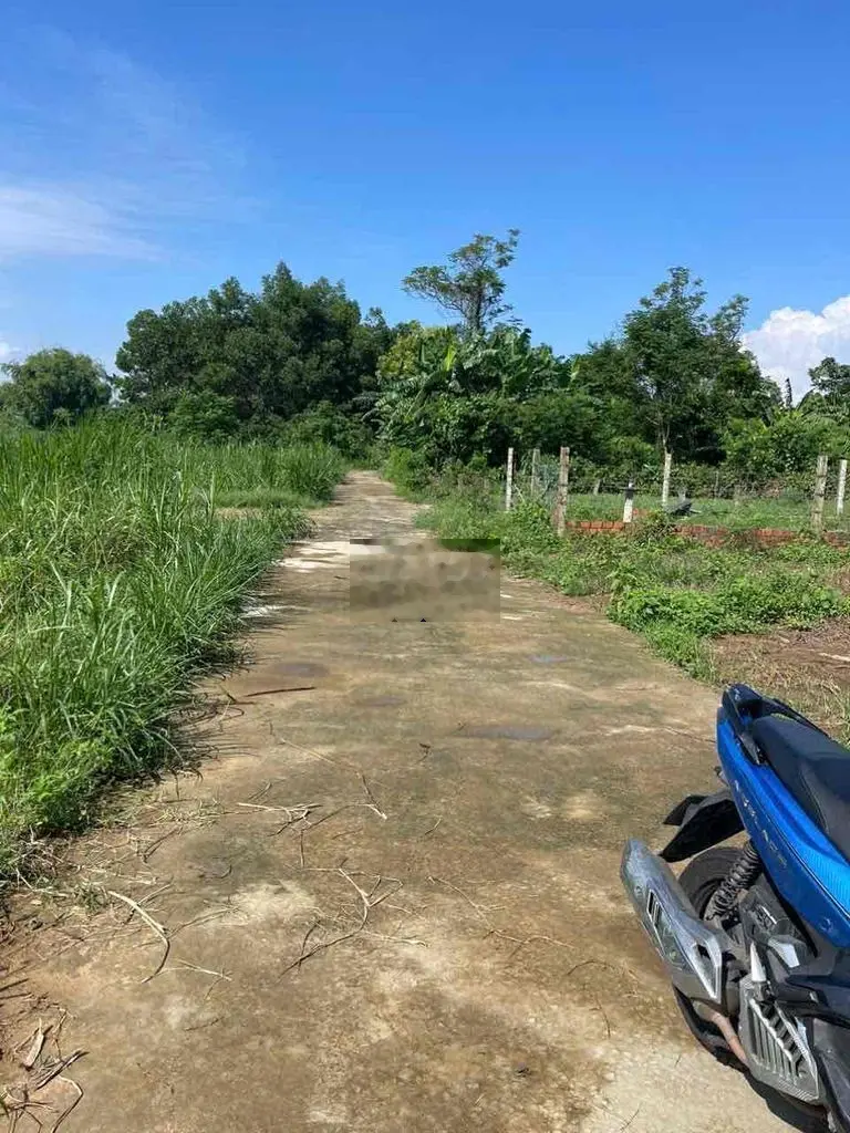 Đất điện bàn 6x28 full đất ở giá 3xx