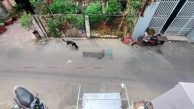 Nhà Q7 hẻm xe hơi thông chỉ 1/ dễ cho thuê kdbb. 84 m2 chỉ hơn 5 tỷ.