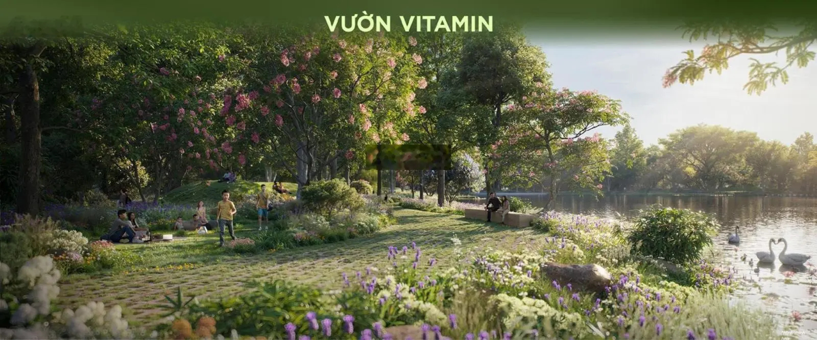 Eco Retreat - Giỏ hàng độc quyền căn đẹp. Alo em Quỳnh Anh