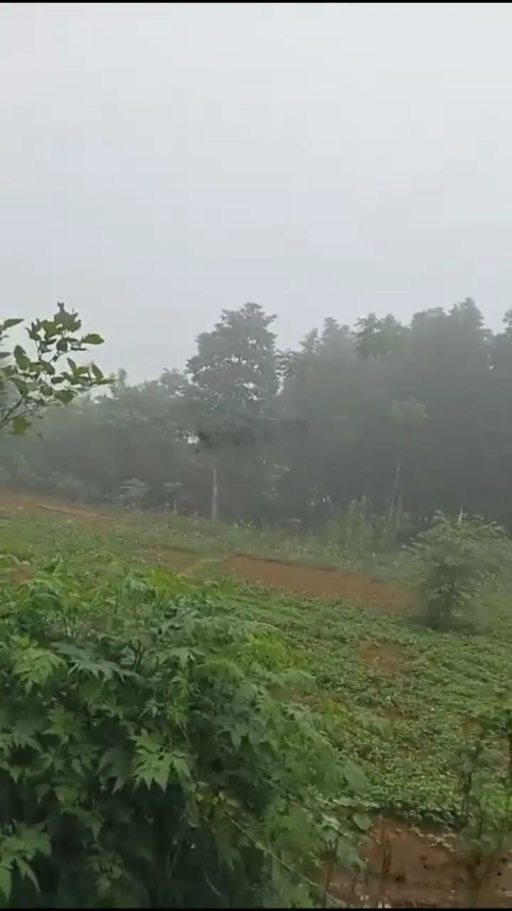 Cần bán 9000 m2 đất ở 400m2 Thung Mường, Kim Bôi, Hoà Bình