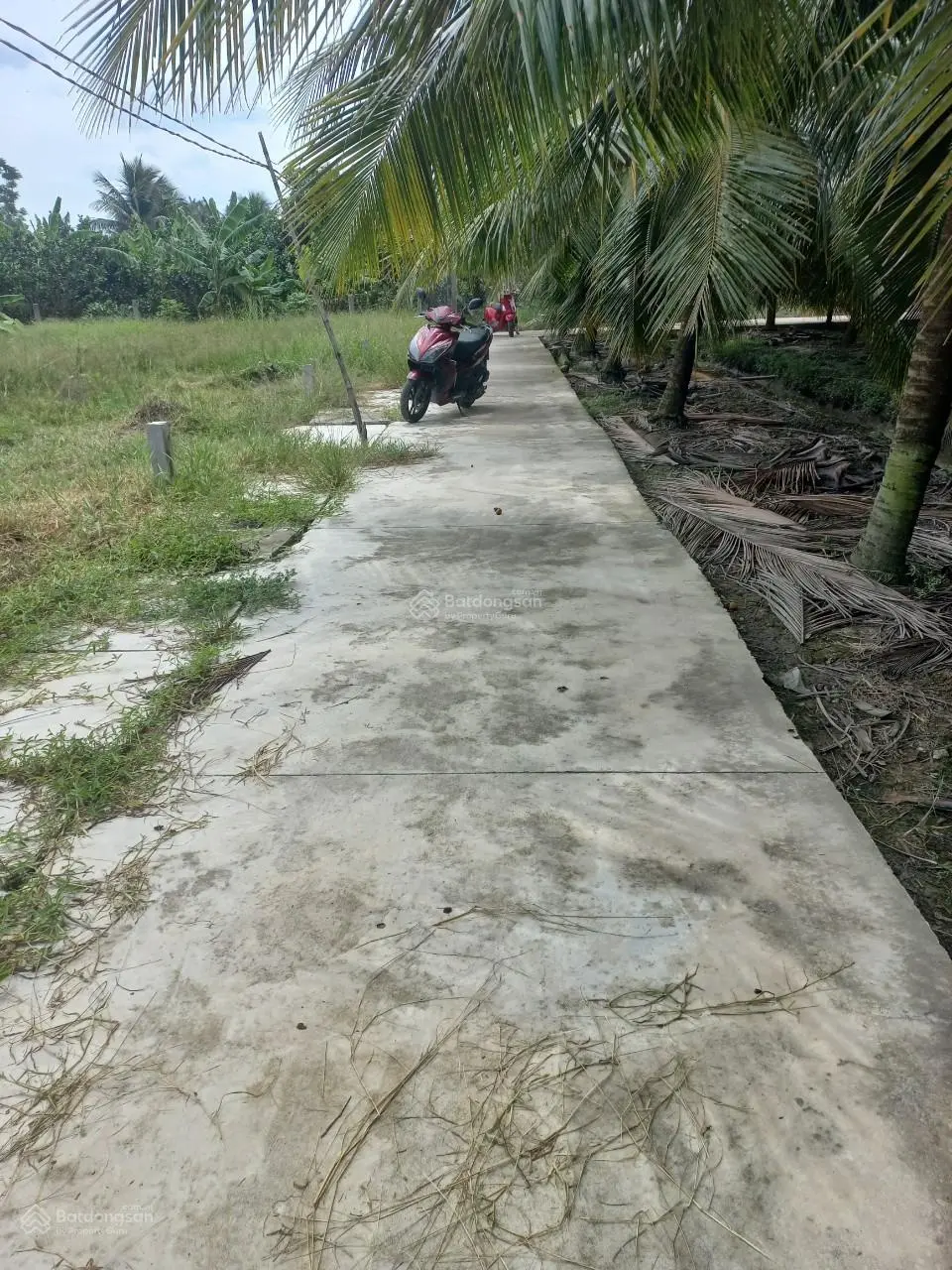 Cắt lỗ! Chính chủ bán đất 158m2 Tân Mỹ Chánh 475tr